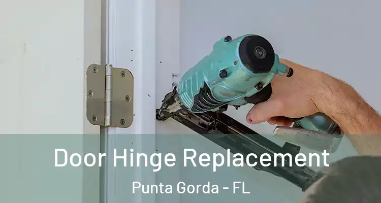  Door Hinge Replacement Punta Gorda - FL