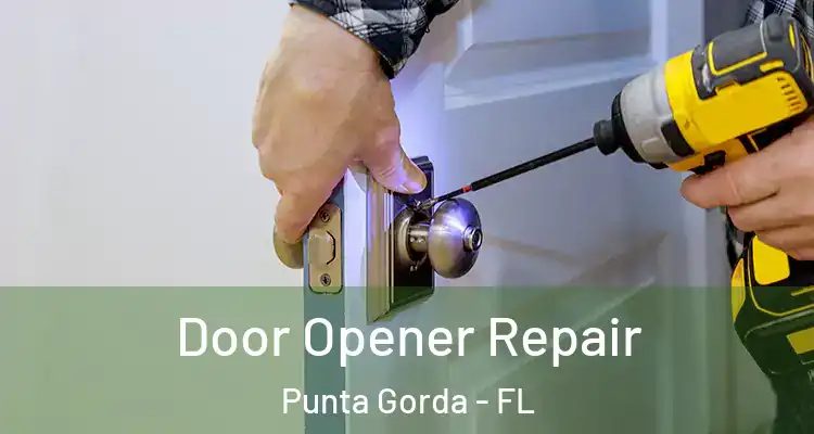  Door Opener Repair Punta Gorda - FL