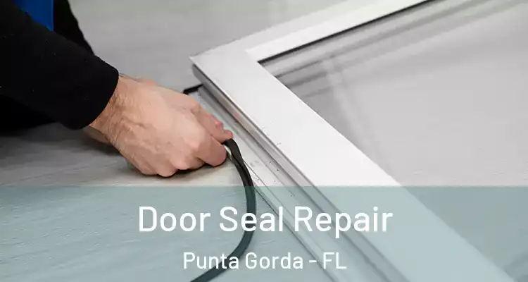  Door Seal Repair Punta Gorda - FL