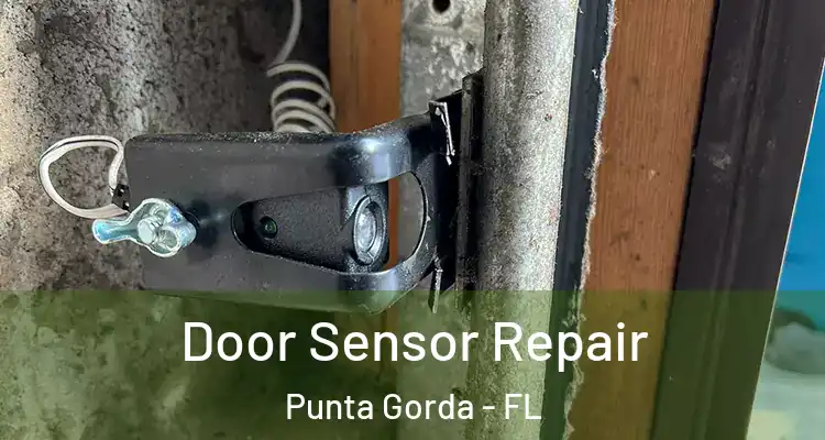 Door Sensor Repair Punta Gorda - FL