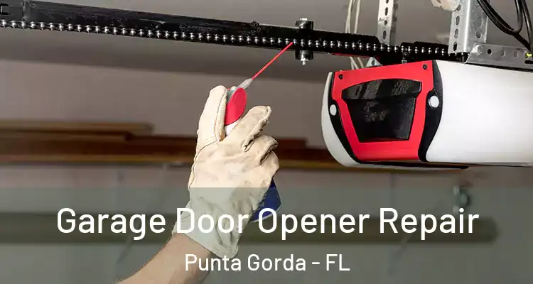  Garage Door Opener Repair Punta Gorda - FL