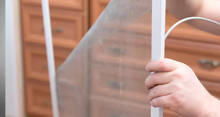 Privacy Mesh Screen Door Installation in Punta Gorda, FL
