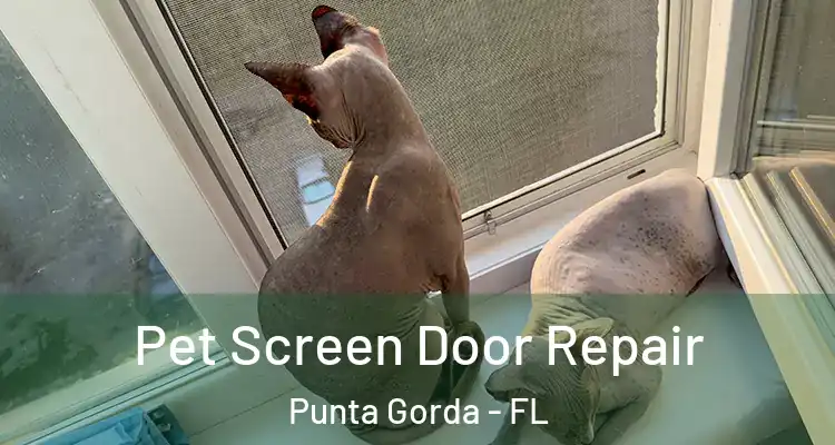  Pet Screen Door Repair Punta Gorda - FL