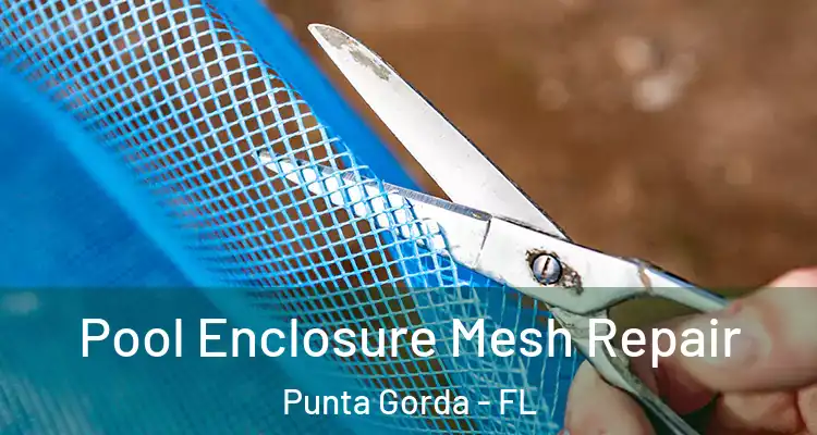  Pool Enclosure Mesh Repair Punta Gorda - FL
