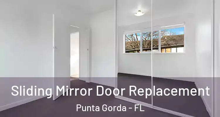  Sliding Mirror Door Replacement Punta Gorda - FL