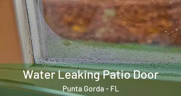  Water Leaking Patio Door Punta Gorda - FL